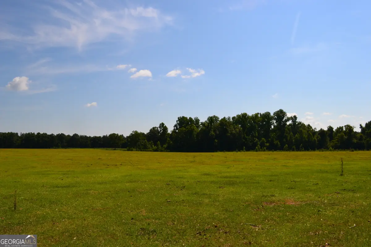 BISHOP Canoochee Road, Midville, GA 30441 - #1