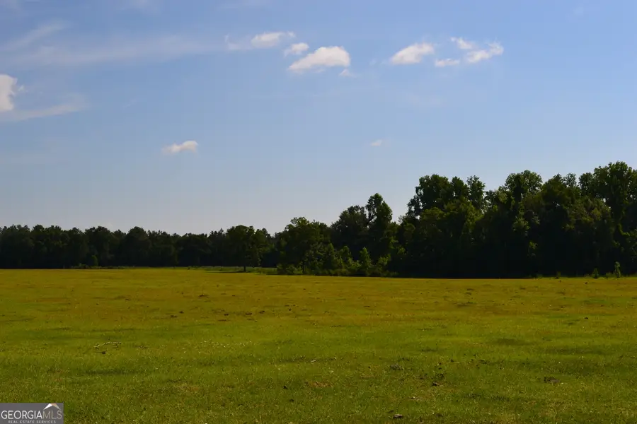 BISHOP Canoochee Road, Midville, GA 30441 - #2