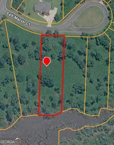 26 Salt Marsh Court, Brunswick, GA 31523 - #1