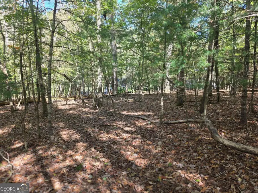 LOT #385 Zenith Trail #385, Ellijay, GA 30540 - #3