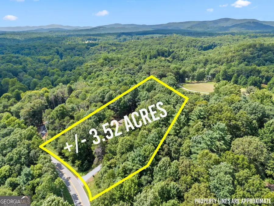 1460 Hollywood Church Road, Clarkesville, GA 30523 - #3