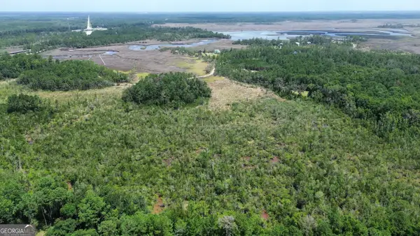 0 Newport Drive Ne, Townsend, GA 31331