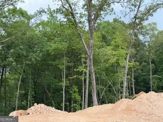 2180 Dunn Road, Molena, GA 30258 - #1
