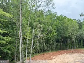 2180 Dunn Road, Molena, GA 30258 - #3