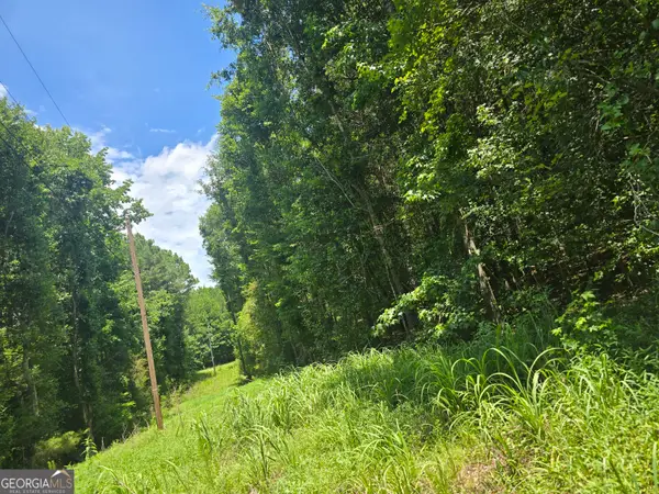 0 Potash Road, Cedartown, GA 30125