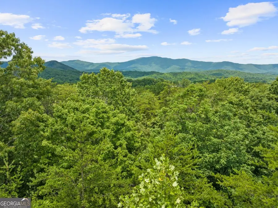 0 Crawford Road #5, McCaysville, GA 30555 - #3