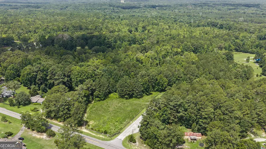 LOT 1 Bradleys Line Drive, Senoia, GA 30276 - #2