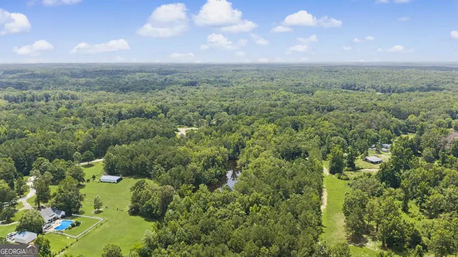 LOT 1 Bradleys Line Drive, Senoia, GA 30276 - #3
