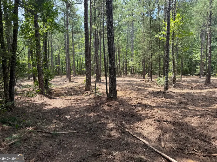 0 S Highway 92, Fayetteville, GA 30215 - #3