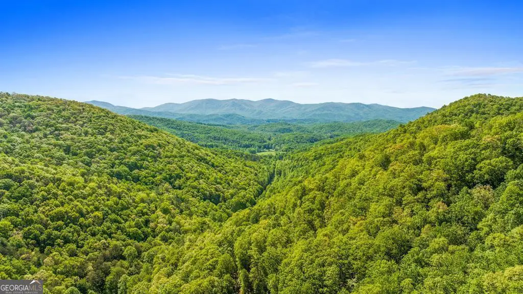 LOT 18 Cub Trail, Cherry Log, GA 30522 - #1