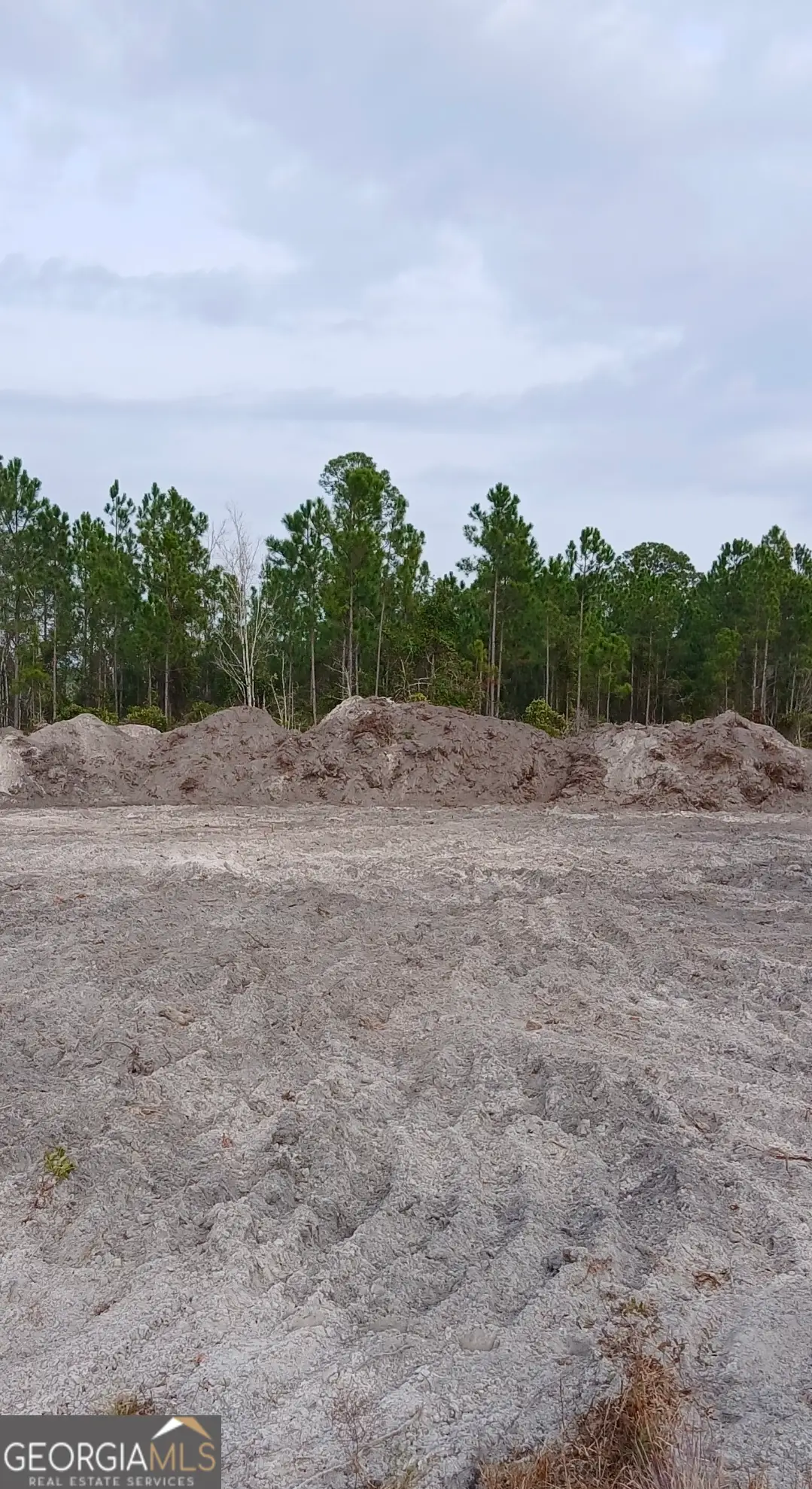 0 (LOT 8) Dogwood Lane, Folkston, GA 31537 - #1
