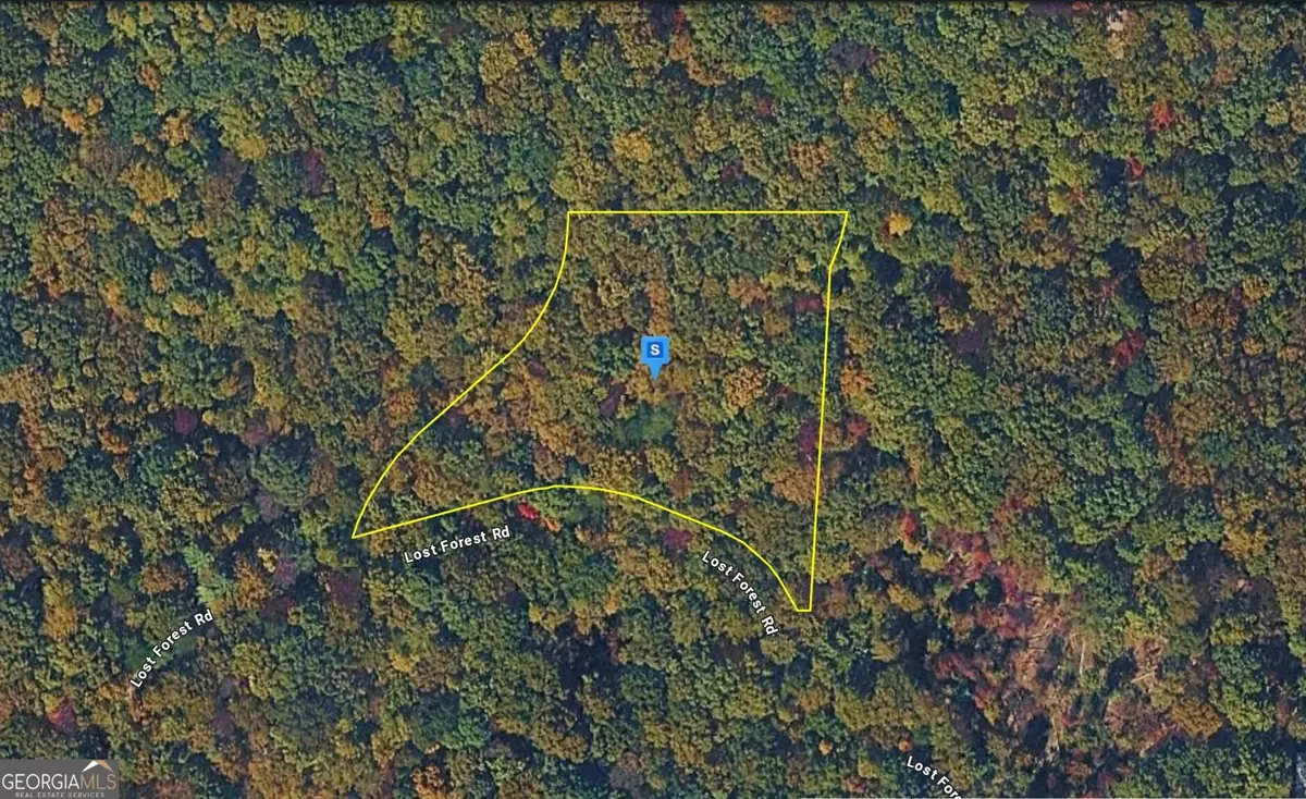 935 Lost Forest Road, Ellijay, GA 30536 - #1