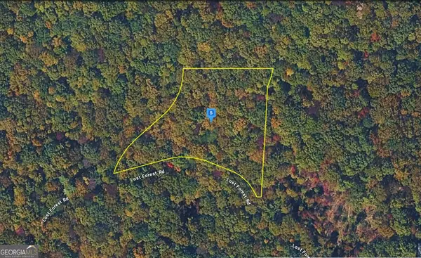 935 Lost Forest Road, Ellijay, GA 30536