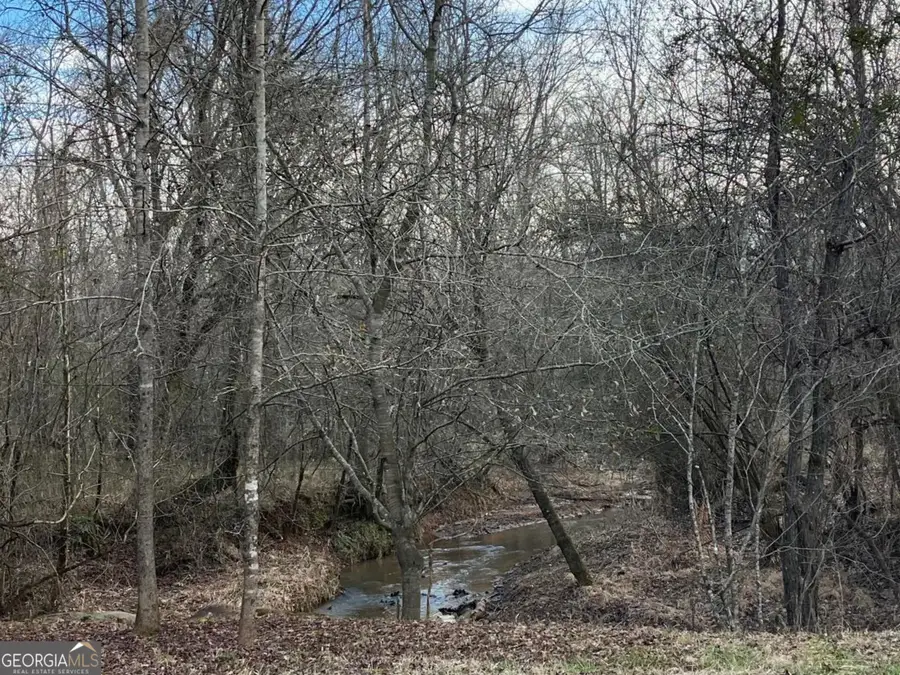 0 Ellis Church Road, Haddock, GA 31033 - #2