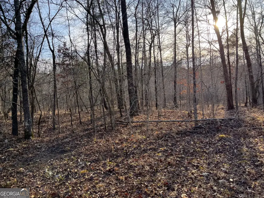 0 Ellis Church Road, Haddock, GA 31033 - #3