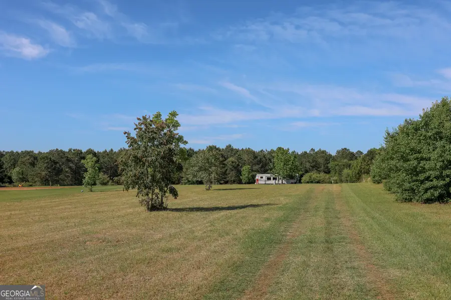 2239 Brady Road, De Soto, GA 31743 - #3