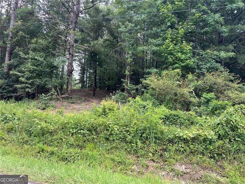 3963 Dabbs Bridge Road, Acworth, GA 30101 - #1