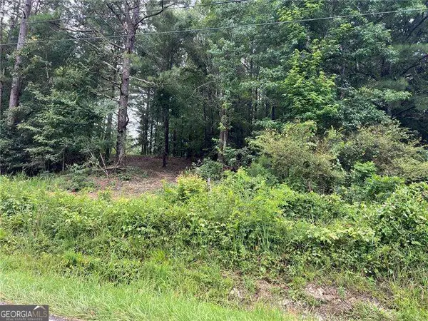 3963 Dabbs Bridge Road, Acworth, GA 30101