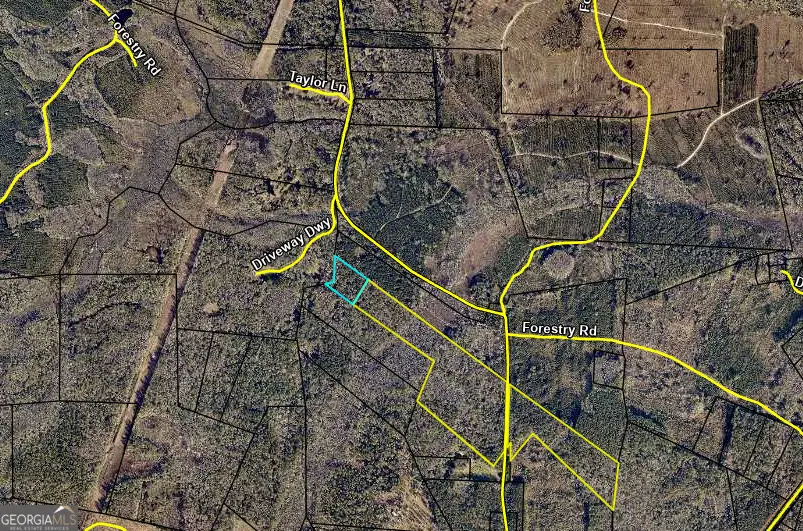 LOT 31 Burnt Fort #V/L NW/S, Folkston, GA 31537 - #1