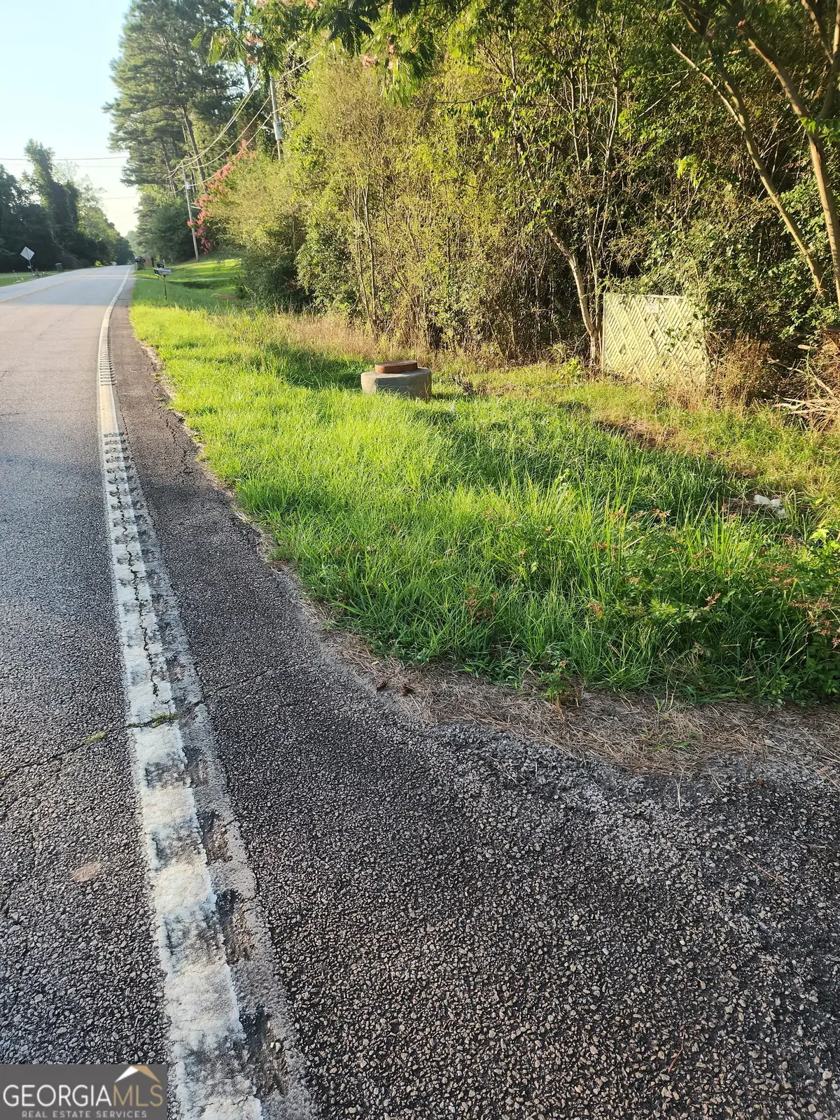 0 W. Main Street, Hogansville, GA 30230 - #1
