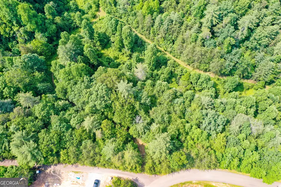 0 Flagpole Circle, Ellijay, GA 30540 - #2