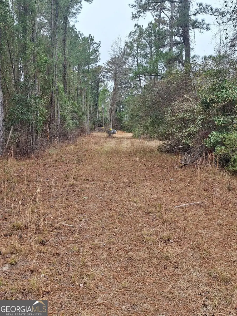 2447 Old Hwy 259, Waynesville, GA 31566 - #2