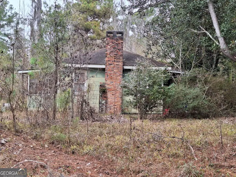2447 Old Hwy 259, Waynesville, GA 31566 - #3
