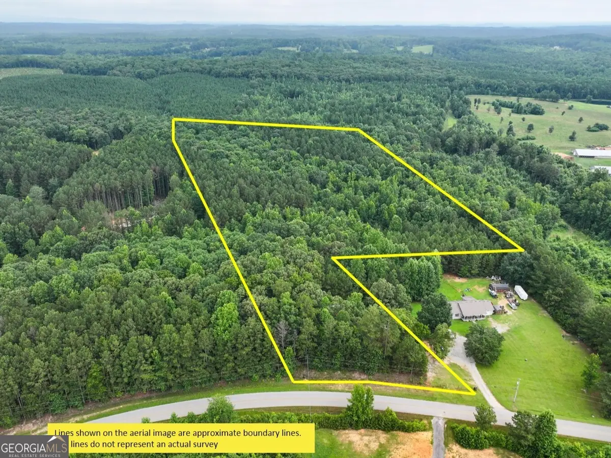 18 +/- Acres On Pope Lake Road, Buchanan, GA 30113 - #1