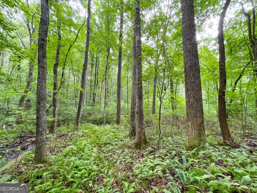 18 +/- Acres On Pope Lake Road, Buchanan, GA 30113 - #3