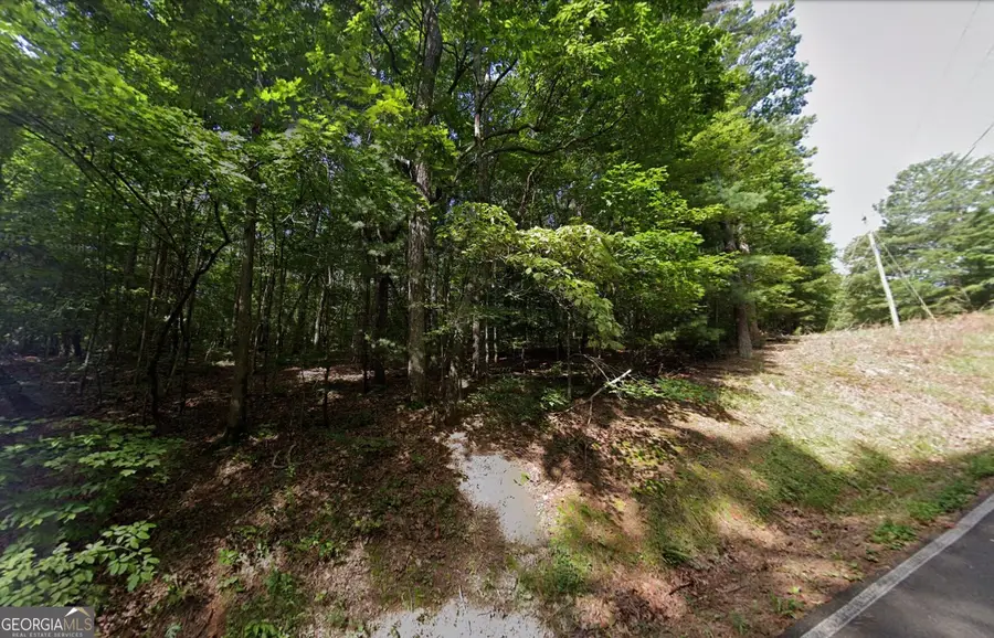 1060 Nexus Drive, Ellijay, GA 30540 - #2