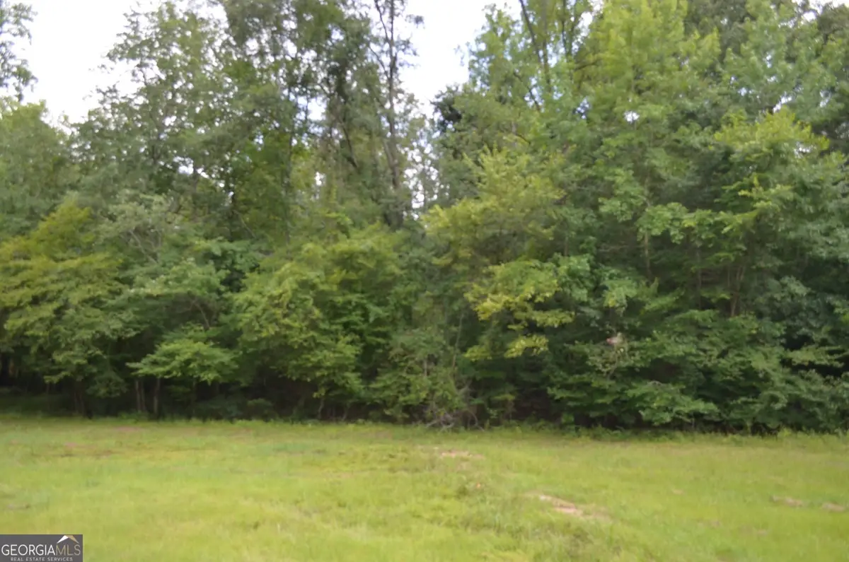 LOT 13 Cardiff, Juliette, GA 31046 - #1