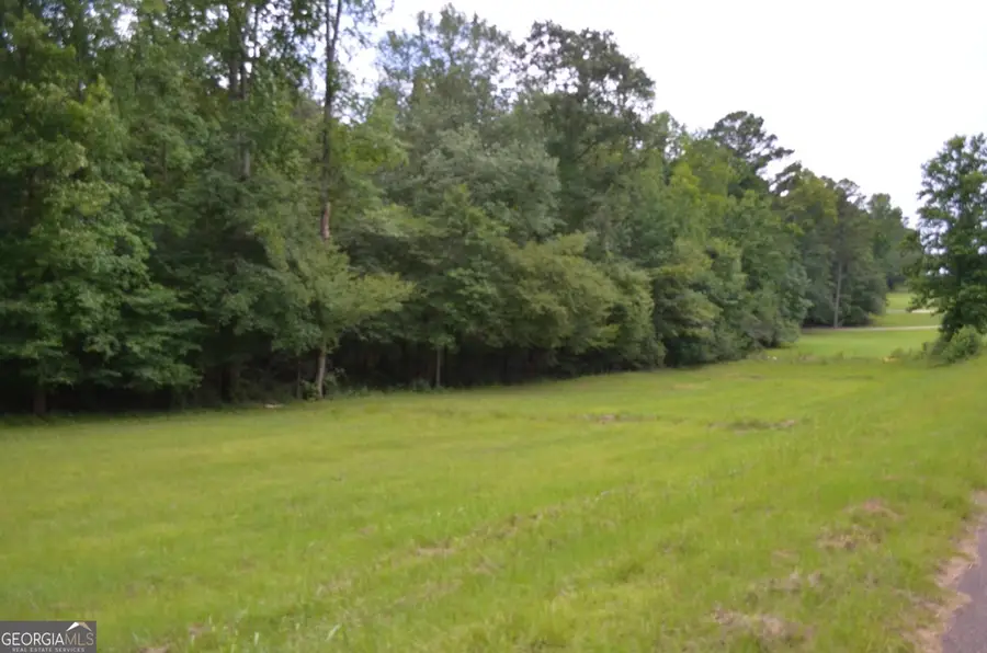 LOT 13 Cardiff, Juliette, GA 31046 - #2