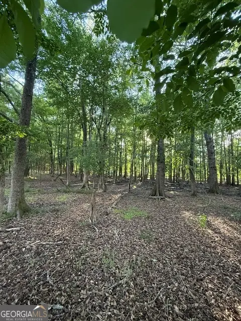 LOT 2 SOUTH OF  Redwine Road #LOT 2 SOUTH OF 1585, Fayetteville, GA 30215 - #3