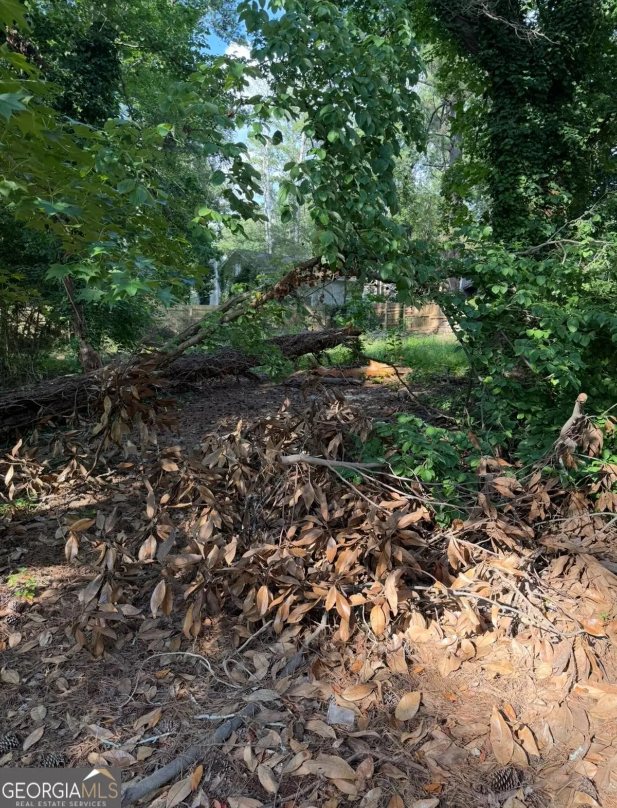 841 Kenwood Lane, Jonesboro, GA 30238 - #1