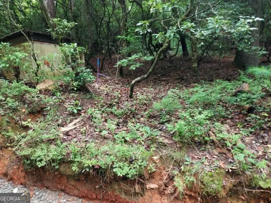 0 LOT 1A Wexford Way, Lakemont, GA 30552 - #2