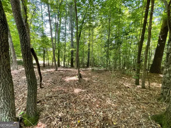 LOT 2 Mount Pleasant Ridge Road #2, Blairsville, GA 30512