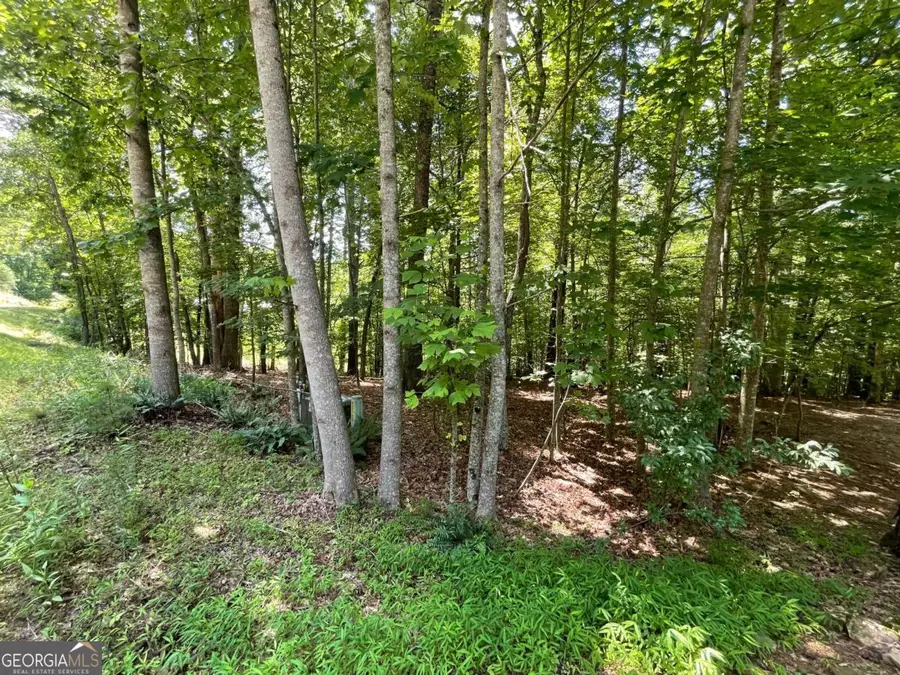 LOT 2 Mount Pleasant Ridge Road #2, Blairsville, GA 30512 - #3