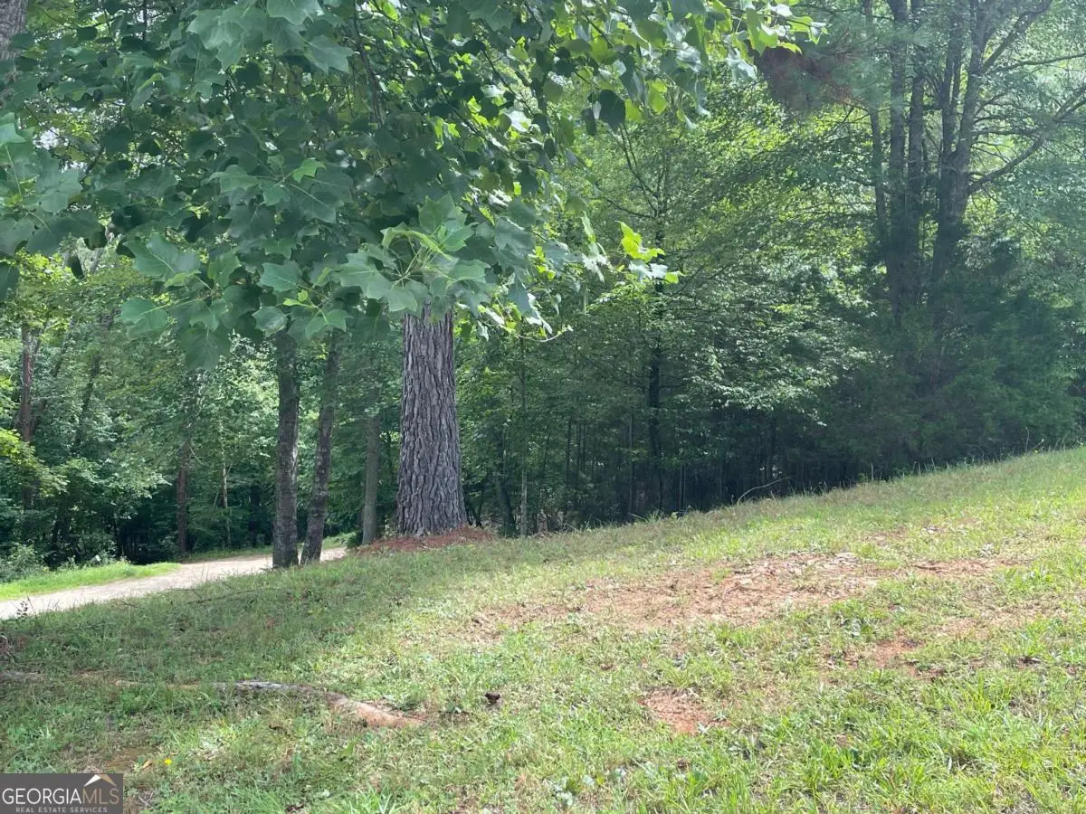 LOT 1 Pinehurst #1, Blairsville, GA 30512 - #1
