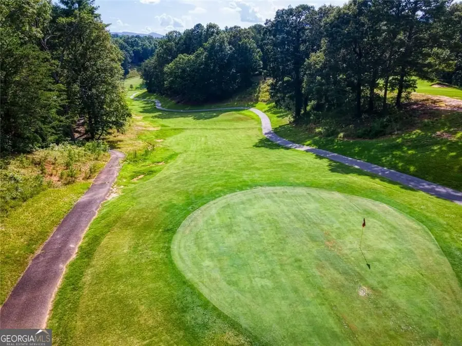 925 Zeppelin Strasse, Helen, GA 30545 - #3