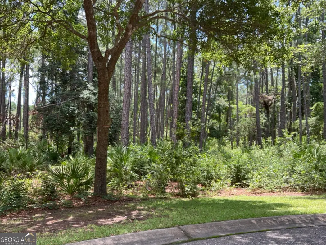 LOT 242 Lateral Buoy Lane, Saint Marys, GA 31558 - #1