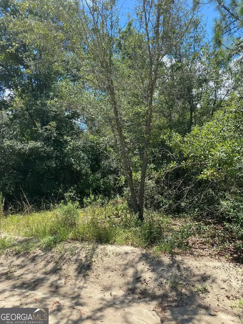 0 Long Bay Drive, Twin City, GA 30471 - #2