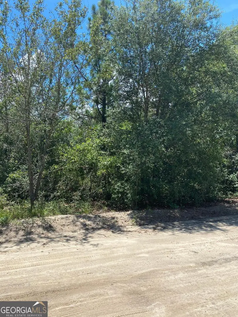 0 Long Bay Drive, Twin City, GA 30471 - #3