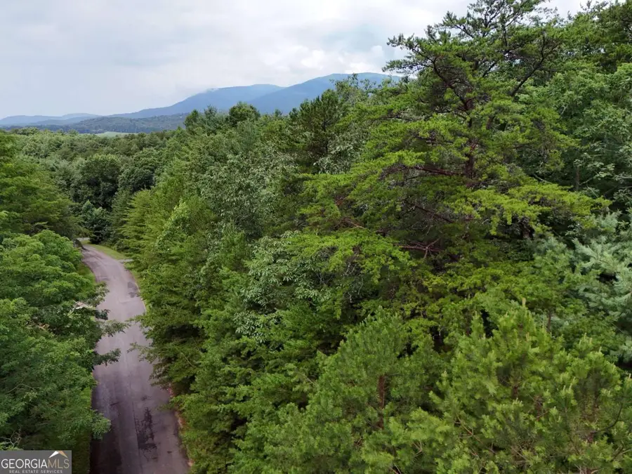 LOT 5 East Ridge Lane, Ellijay, GA 30540 - #2