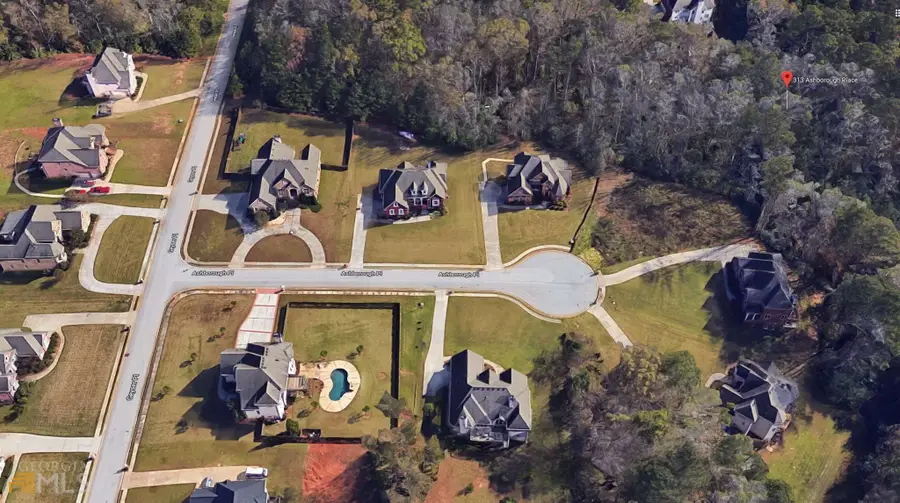 313 Ashborough Place, Stockbridge, GA 30281 - #3