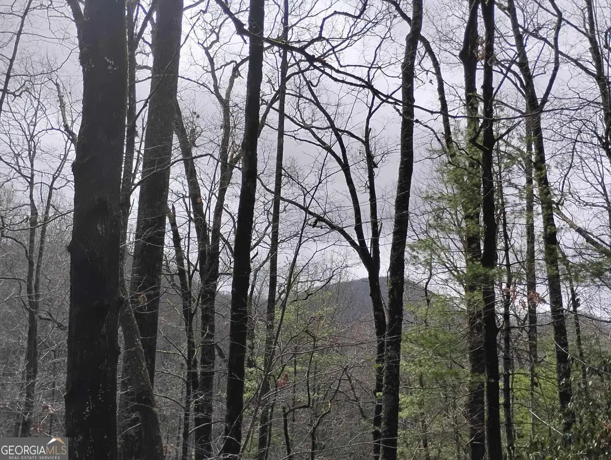 0 LOT 289 Cobblewood Trail, Sky Valley, GA 30537 - #1