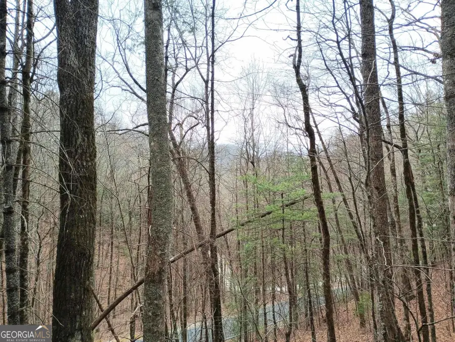 0 LOT 289 Cobblewood Trail, Sky Valley, GA 30537 - #2
