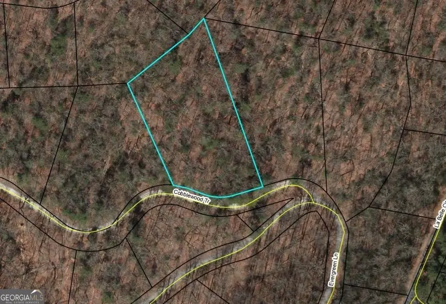 0 LOT 289 Cobblewood Trail, Sky Valley, GA 30537 - #3