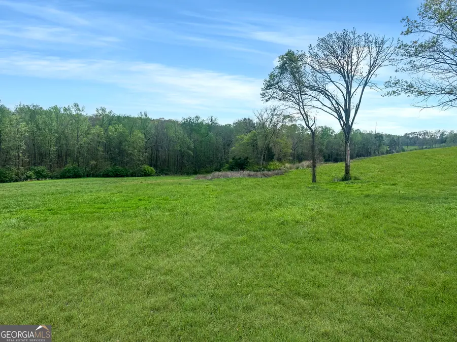 0 Gooseneck Road, Eastanollee, GA 30538 - #3