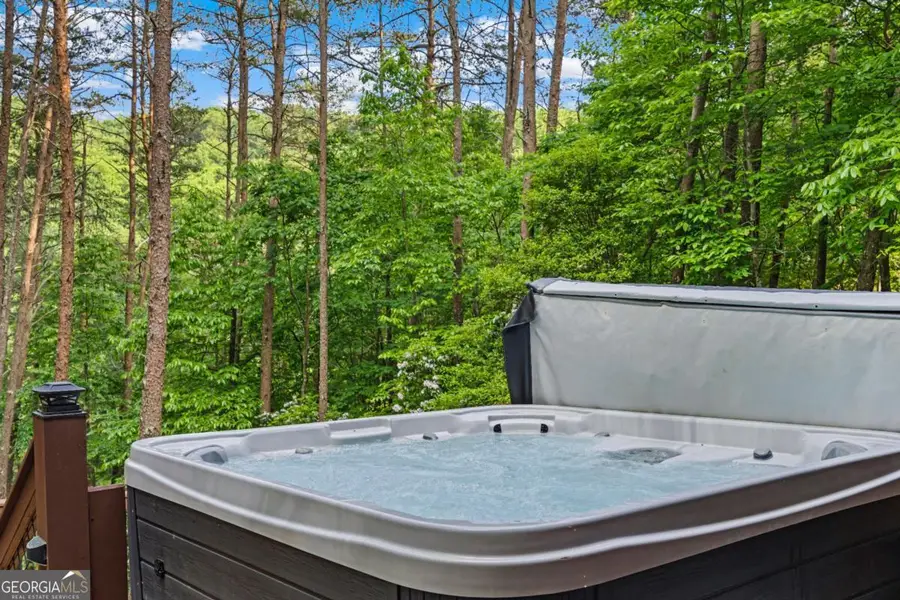 60 Clubhouse Court, Ellijay, GA 30536 - #3