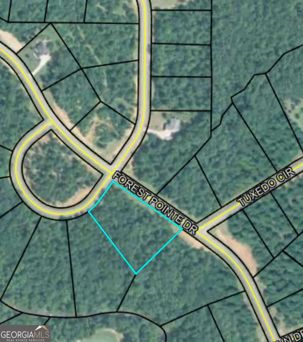 207 Forest Pointe Drive, Forsyth, GA 31029 - #1